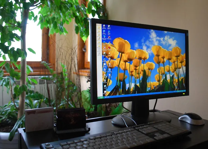 семеен булаир